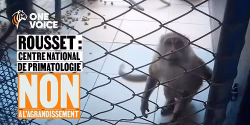 La Rochelle  - Non \u00e0 l\u2019agrandissement du CNP de Rousset !