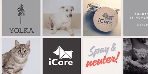 ICARE \/ 11 YEARS ANNIVERSARY \/ SPAY & NEUTER \/ BECAUSE YOU CARE