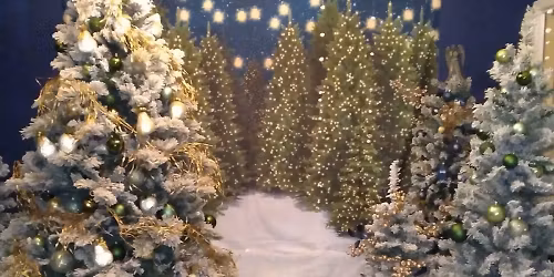 Annual Christmas \ud83c\udf84 Party in Windcrest