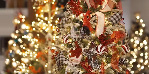 Tree Lighting at Jingle Tree 