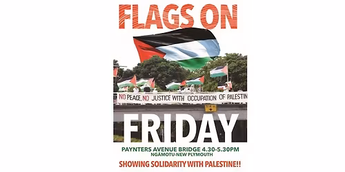 New Plymouth - Flags on the Bridge