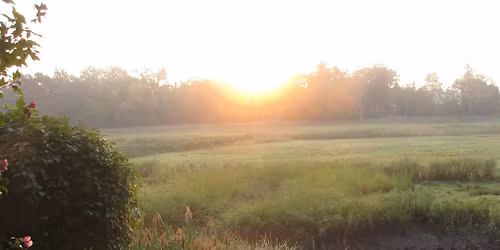 Otter Creek Habitat Improvement Day