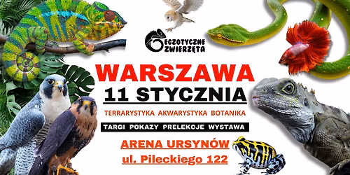 WARSZAWA 11 STYCZNIA - EGZOTYCZNE ZWIERZ\u0118TA - TERRARYSTYKA AKWARYSTYKA BOTANIKA i wiele wi\u0119cej