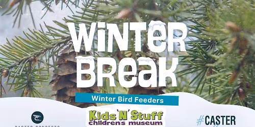 Winter Break Programs: Winter Bird Feeders