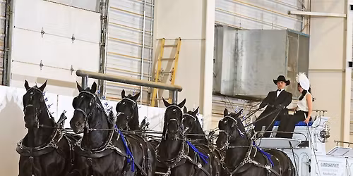 Loveland Thunder Draft Horse Show