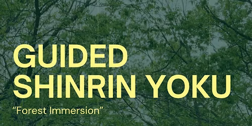Guided Shinrin Yoku Experience 
