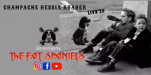 The Fat Spaniels @ The Willows Club, Hull 