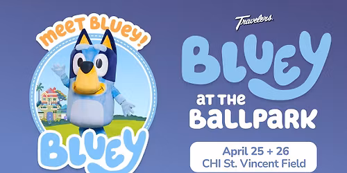 Bluey at the Ballpark