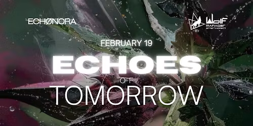 Echoes of Tomorrow