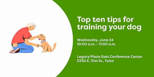 Top Ten Tips for Training Your Dog