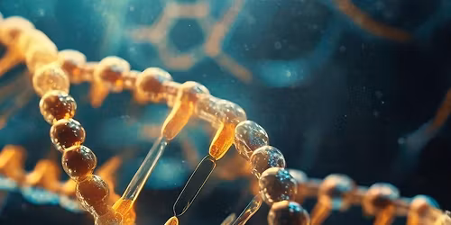 Epigenetick\u00fd vtisk v na\u0161em t\u011ble a jeho prom\u011bny