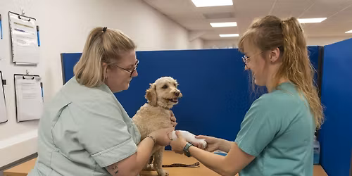 Mock OSCE day 25th September 2026