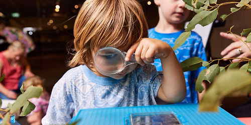 Mini Museum Explorers - Under 5's Program