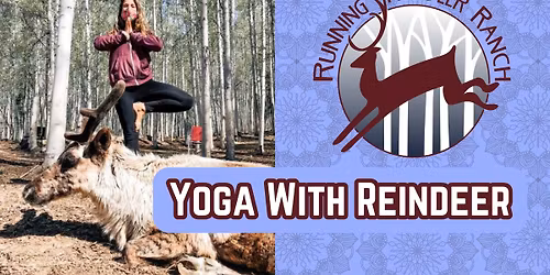 Fly and Flow - Yoga with Reindeer