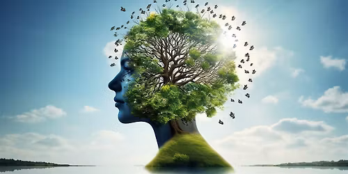 Learn How to Meditate