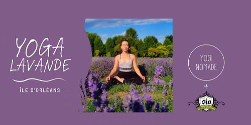 YOGA LAVANDE AU CR\u00c9PUSCULE