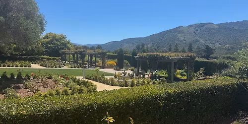 Spring Harvest Festival