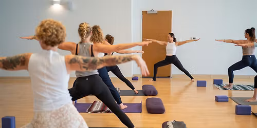 Hatha Yoga Teacher Training Webinar