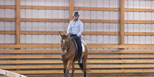 Classical Dressage, Athen, TX