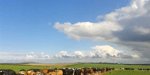 Farm Walk at Downs Farm