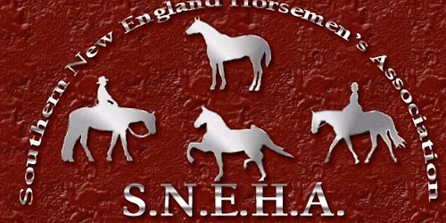 SNEHA Horse Show #5