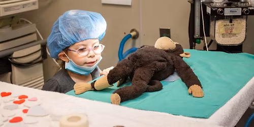Teddy Bear Surgery at the Austin Humane Society