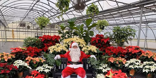 Thorsen's Holiday Market Opening 2025