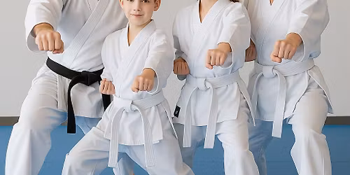 Join us for a Sensory-Friendly Karate Demo!