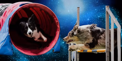 Concours Interne Agility - Printemps 2026