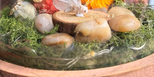Fairy Garden