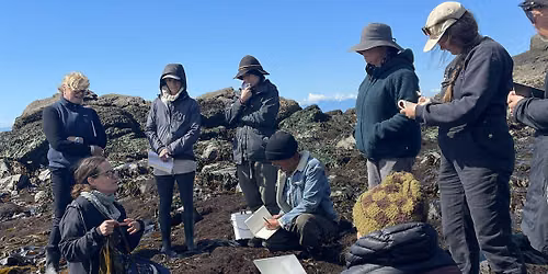 SEAWEED FIELD EXCURSION: INTERTIDAL EXPLORATION