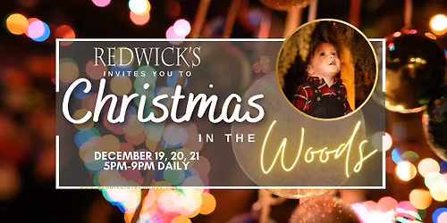 Christmas in the Woods