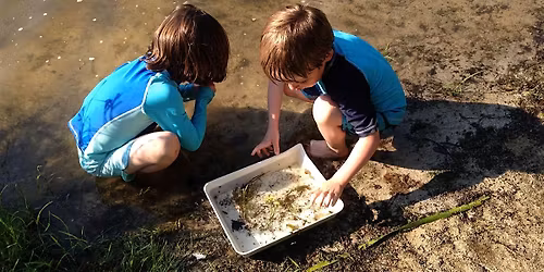 Homeschool Naturalists: Watery Worlds\/Lake Study