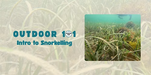 Outdoor 101: Intro to Snorkelling