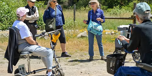 Slow Wildflower Journey