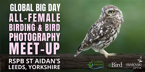 Global Big Day: All-Female Birding & Bird Photography Meet-Up