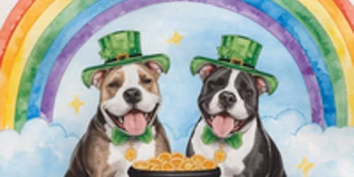 Paw-T of Gold Puppy Walk