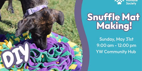 DIY Snuffle Mat Making Workshop