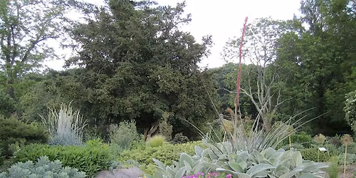 Gardener's Workshop: Gardening in Late Spring