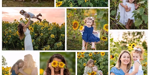 Sunflower Mini Sessions