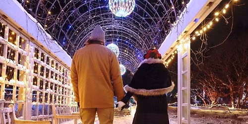 Adults' Night Out at Winter Lights