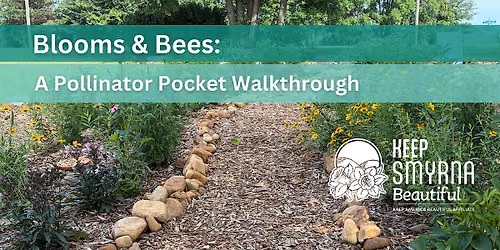 Blooms & Bees: a Pollinator Pocket Walkthrough