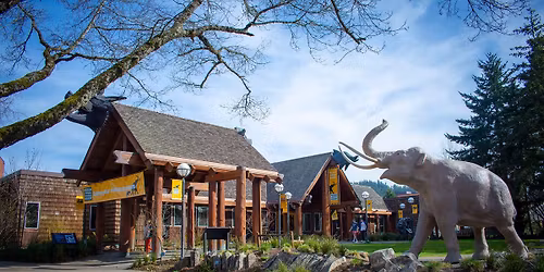 Free First Friday at the Museum