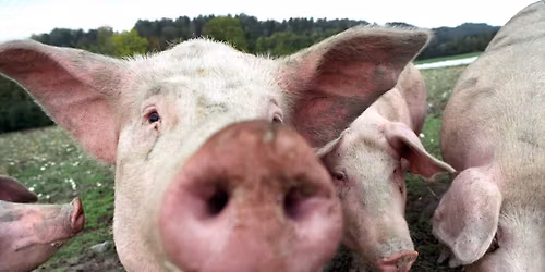 G\u00e5rdsbes\u00f8k Nedre Glosli G\u00e5rd