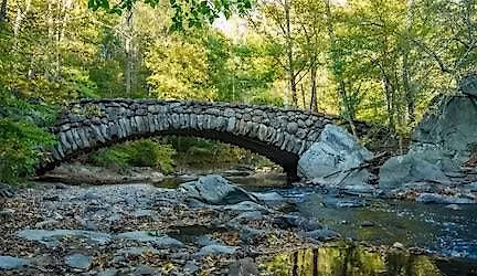 Hike Rock Creek Park to the Nature Center and Thai Lunch