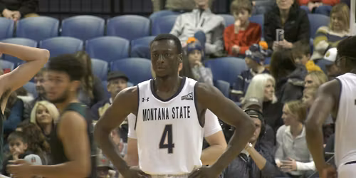 Sacramento State Hornets at Montana State Bobcats Mens Basketball at Brick Breeden Fieldhouse