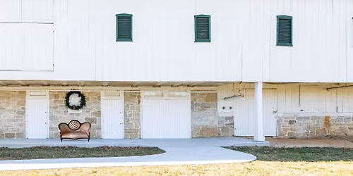 2025 Christmas Mini Sessions