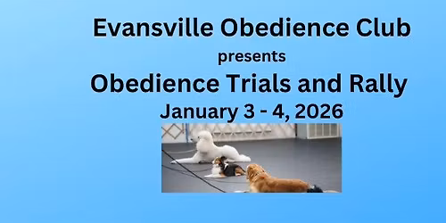 2 All-Breed Rally Trials and 3 Obedience Trials