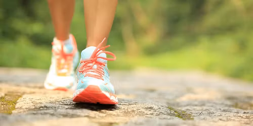 CHAKRA CONNECTION WALK