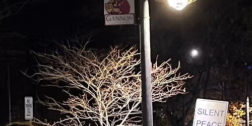 Silent Peace Walk\u2014special focus\u2014Peace in Gaza, Ukraine, Sudan